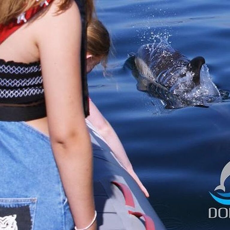 Seadolphins Algarve Lda