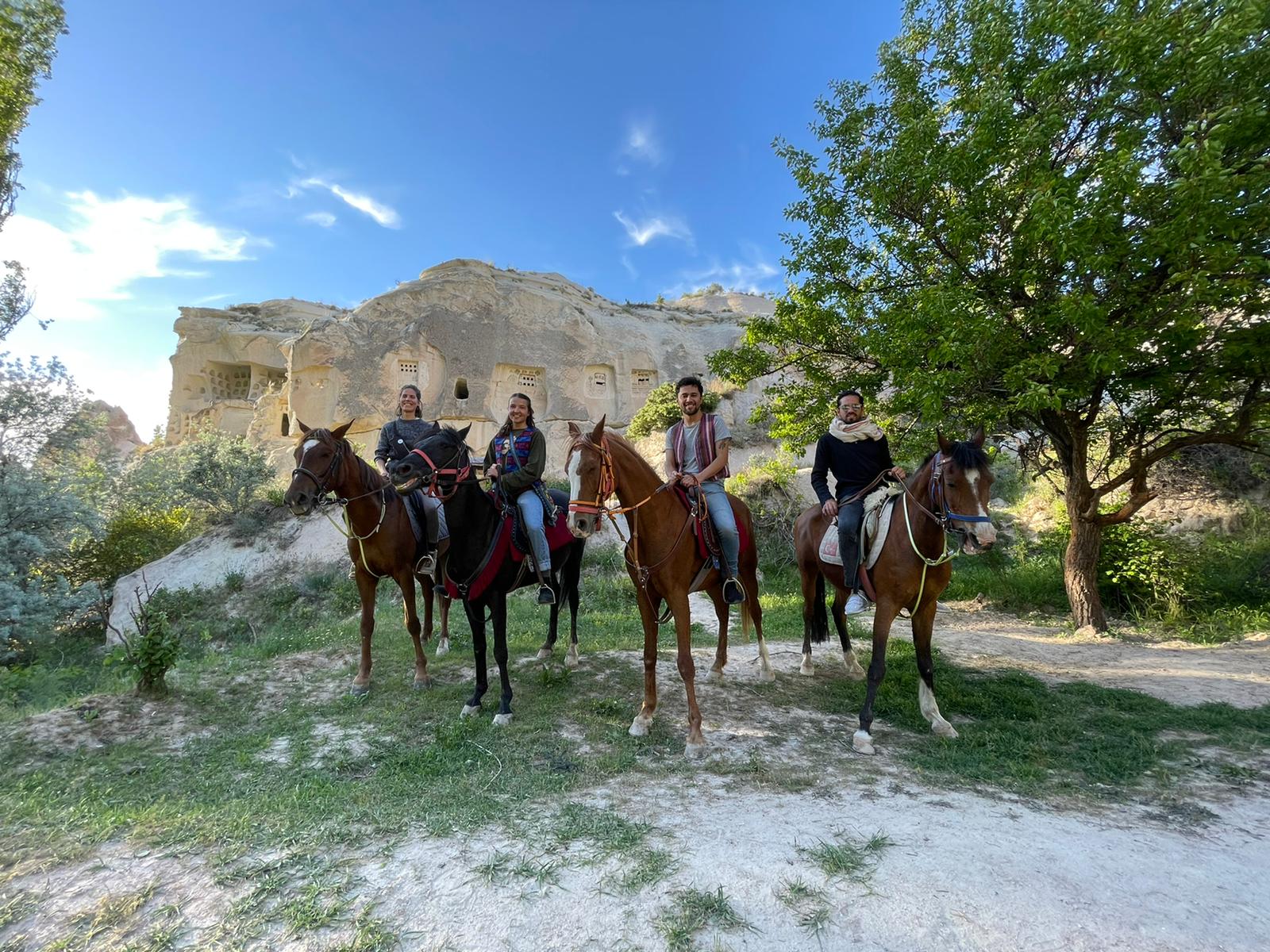 Rose Valley Horse Ranch