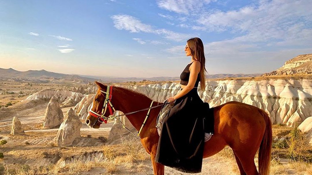Rose Valley Horse Ranch