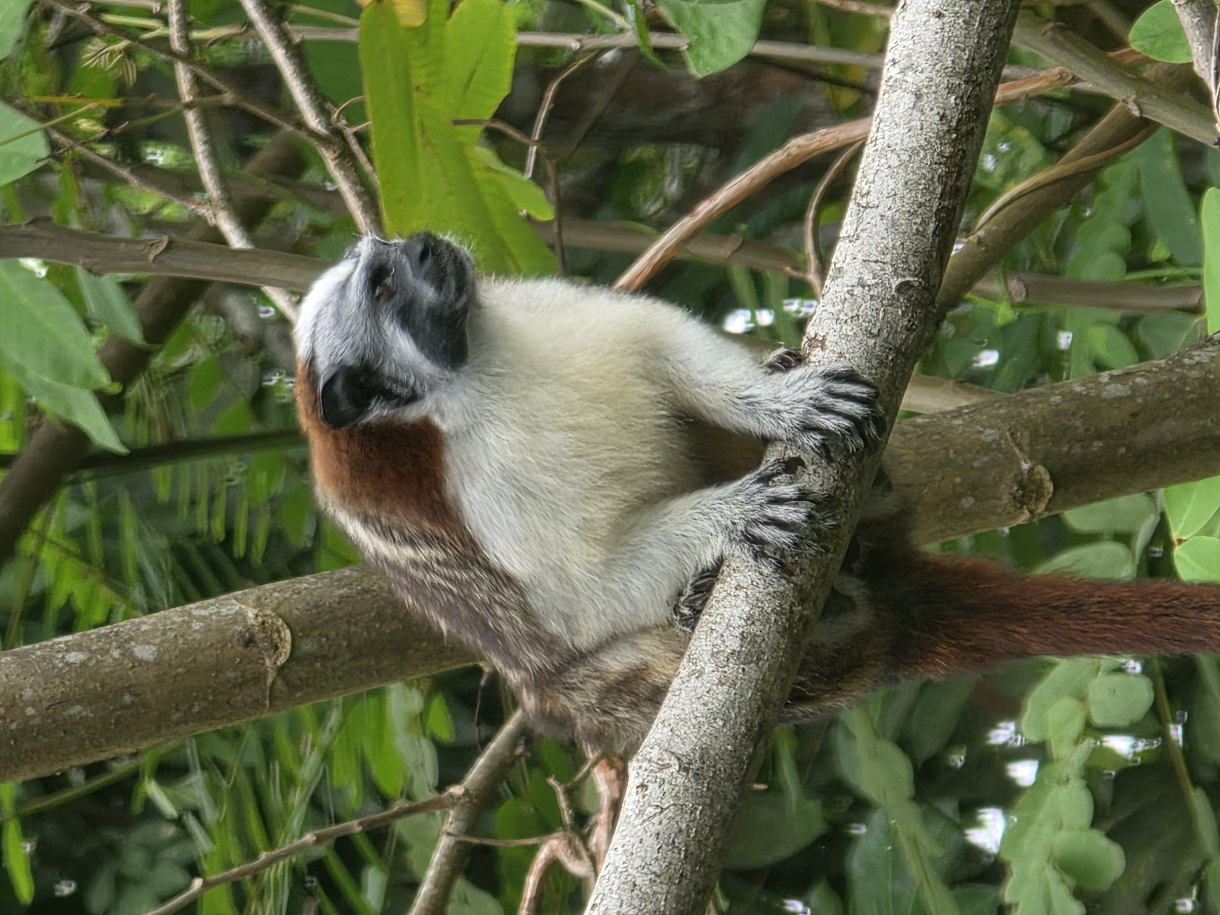 Panama Signature Tours