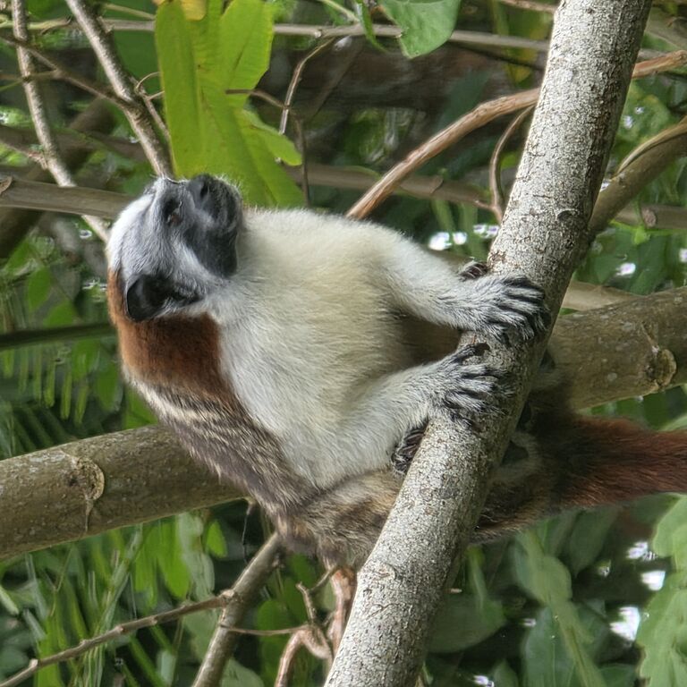 Panama Signature Tours