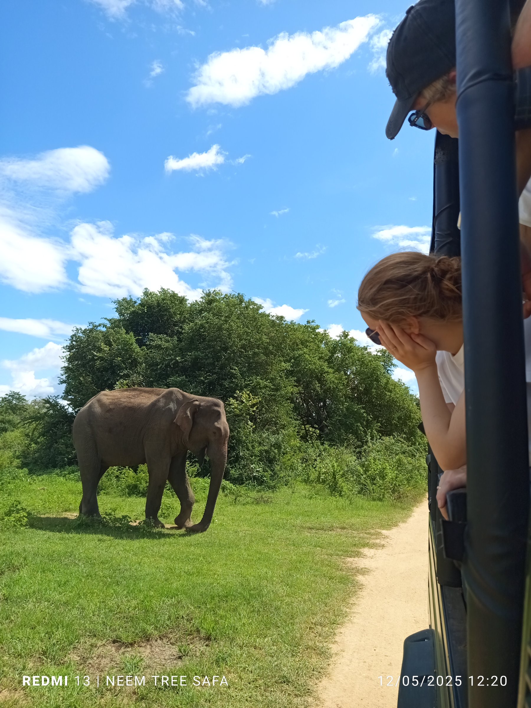 NEEM TREE SAFARI AND TOURS
