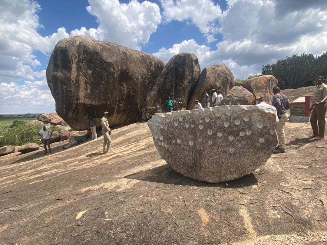 SAFARI KING TRAVEL AFRICA
