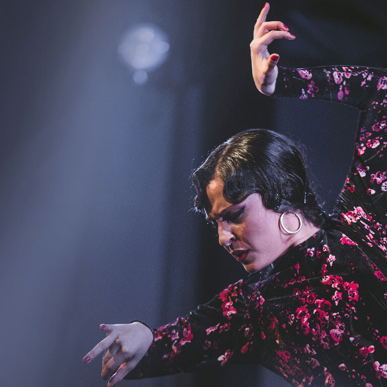 Tablao Flamenco Casa Ana