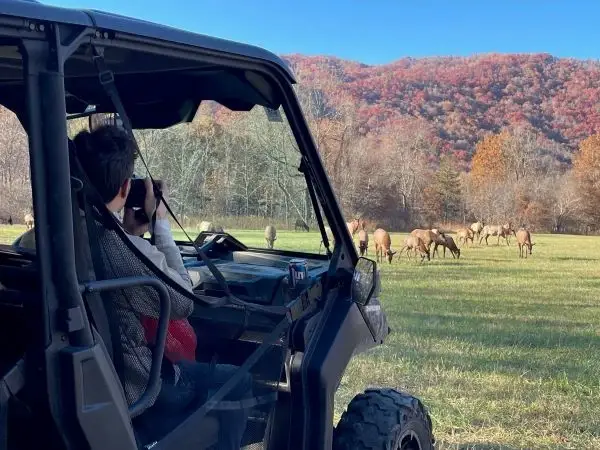 Scenic tours and adventures