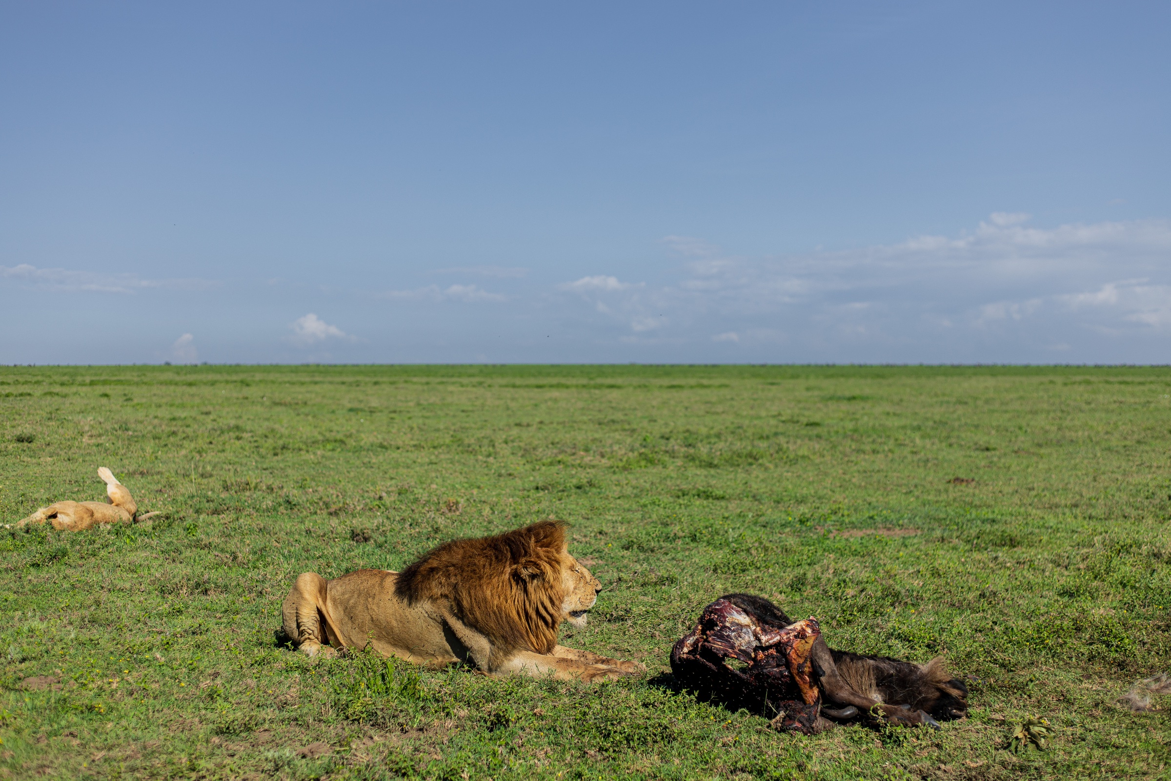 Navoitanzaniasafaris