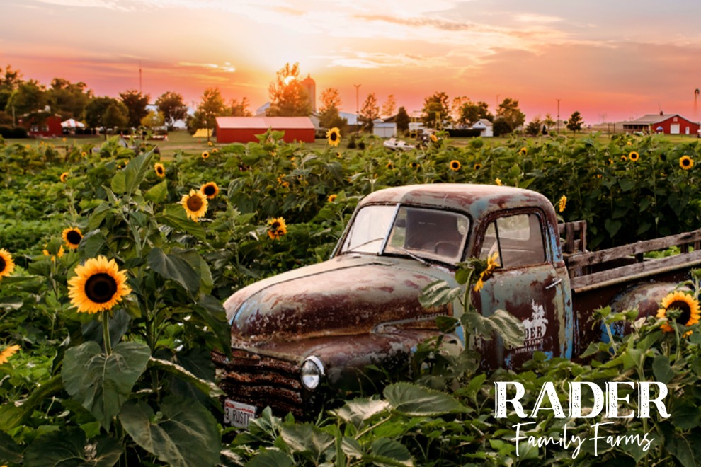 Rader Family Farms