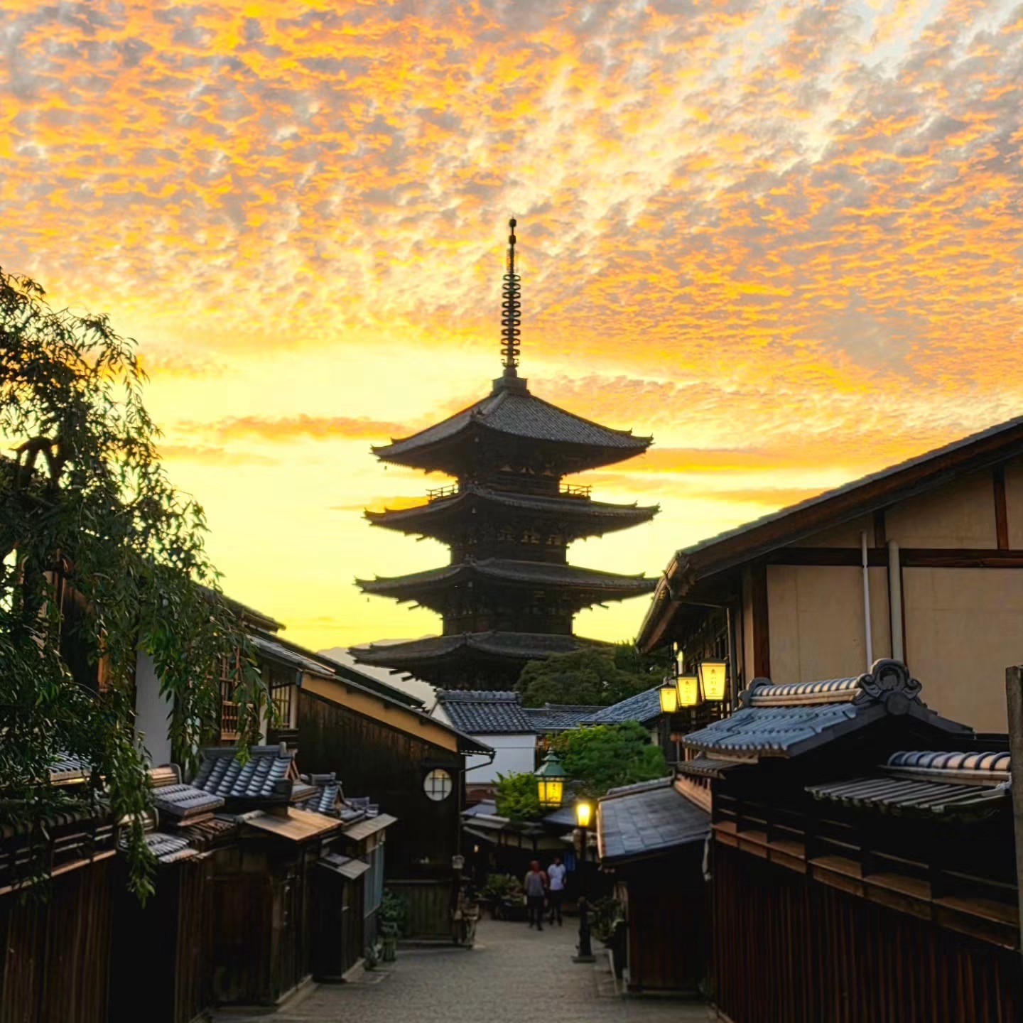 Wabisabi private tours Japan