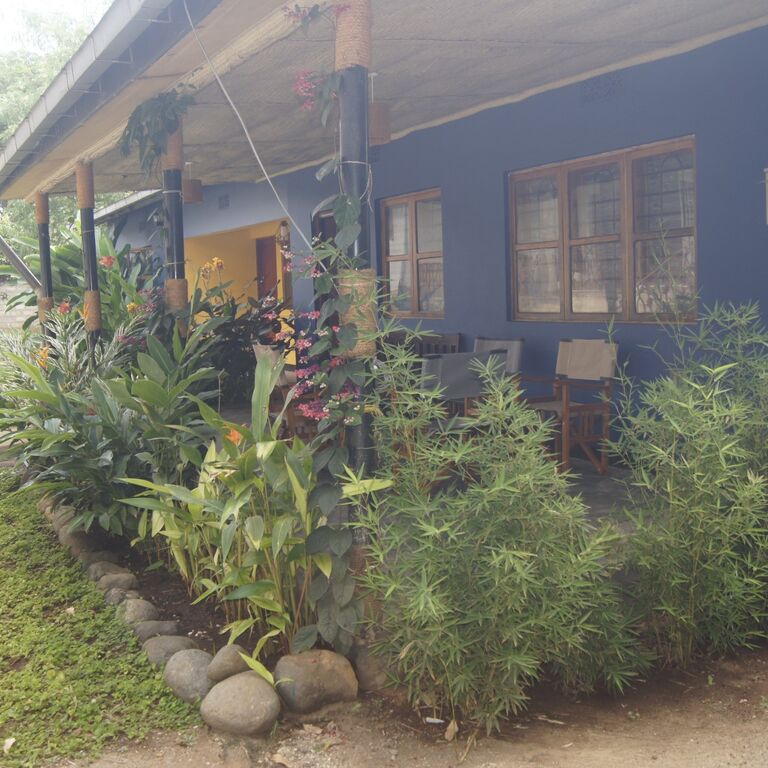 Blue Cactus Shanty
