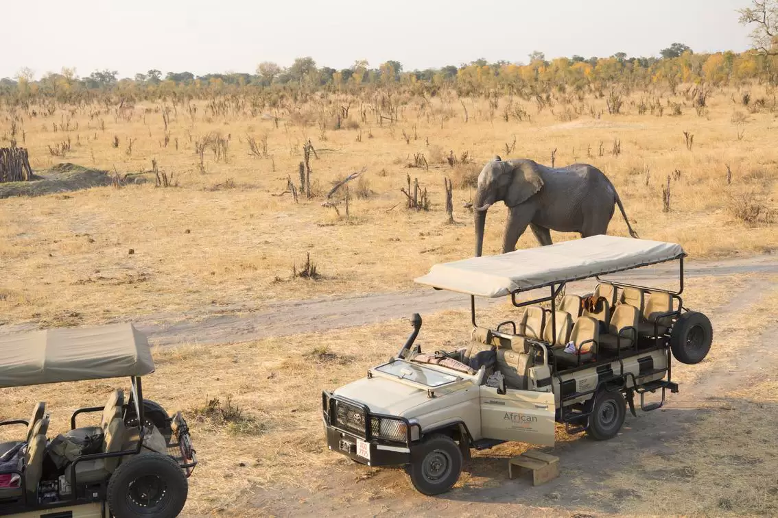 Muwuyu Africa Travel