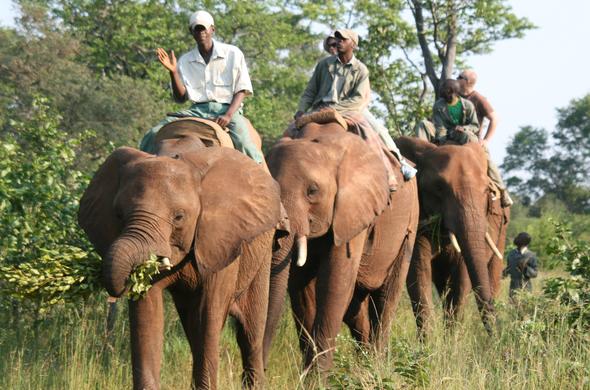 Muwuyu Africa Travel