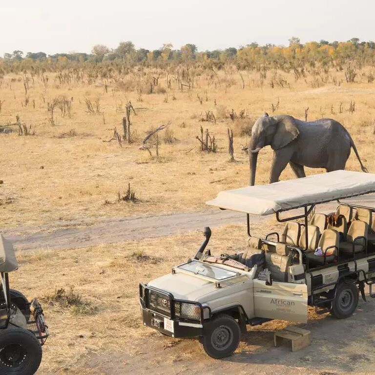 Muwuyu Africa Travel
