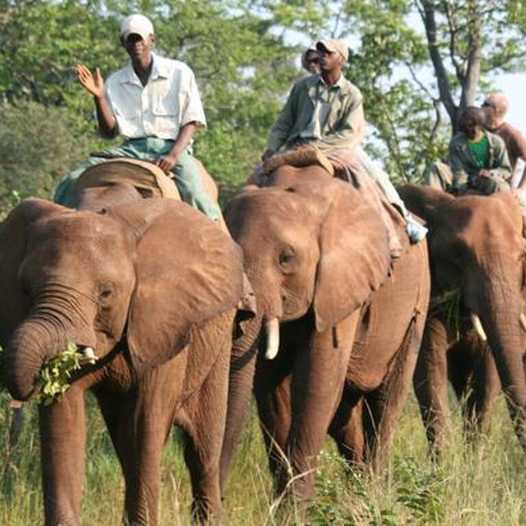 Muwuyu Africa Travel
