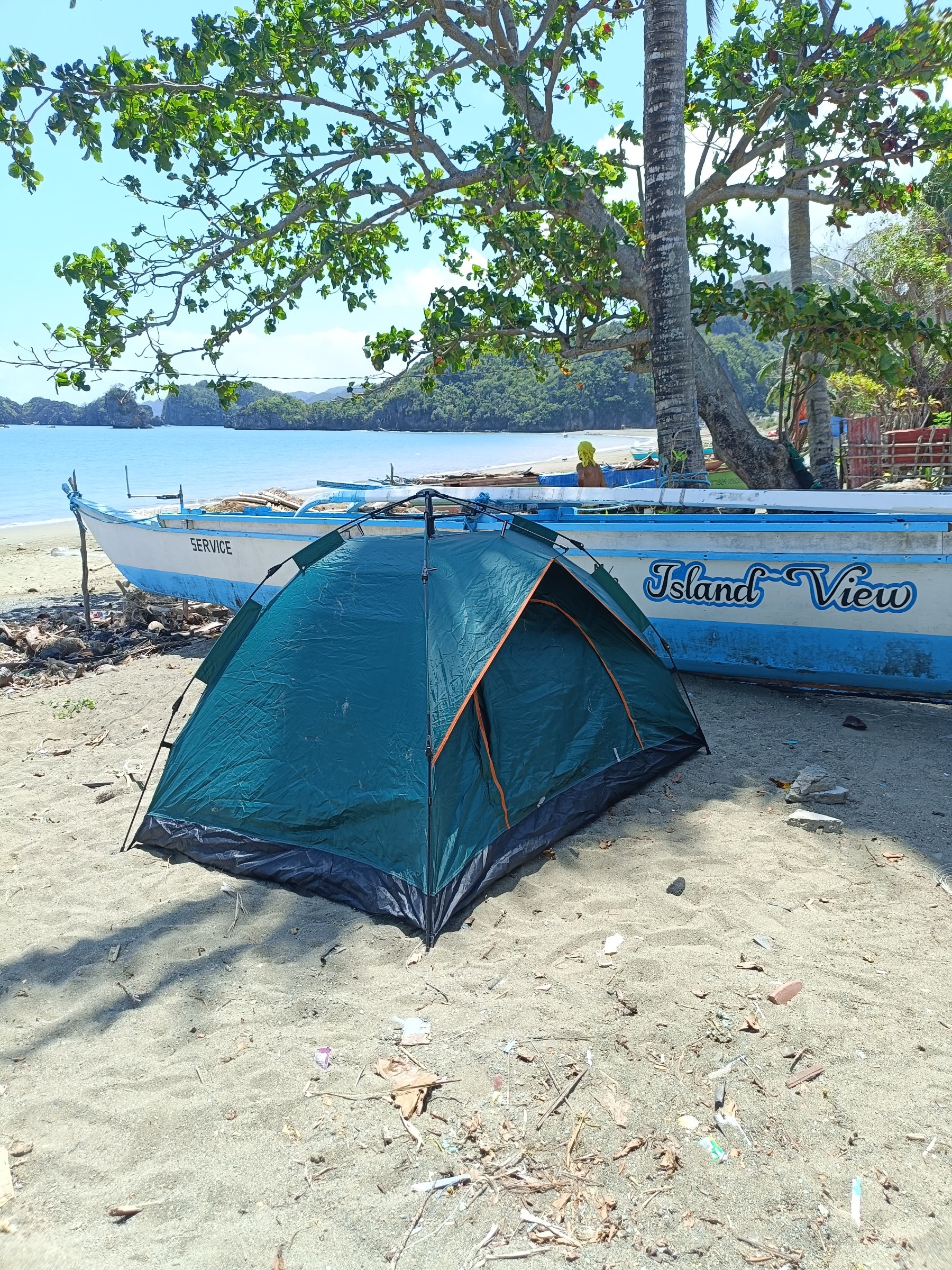 Islandview Tours Services
