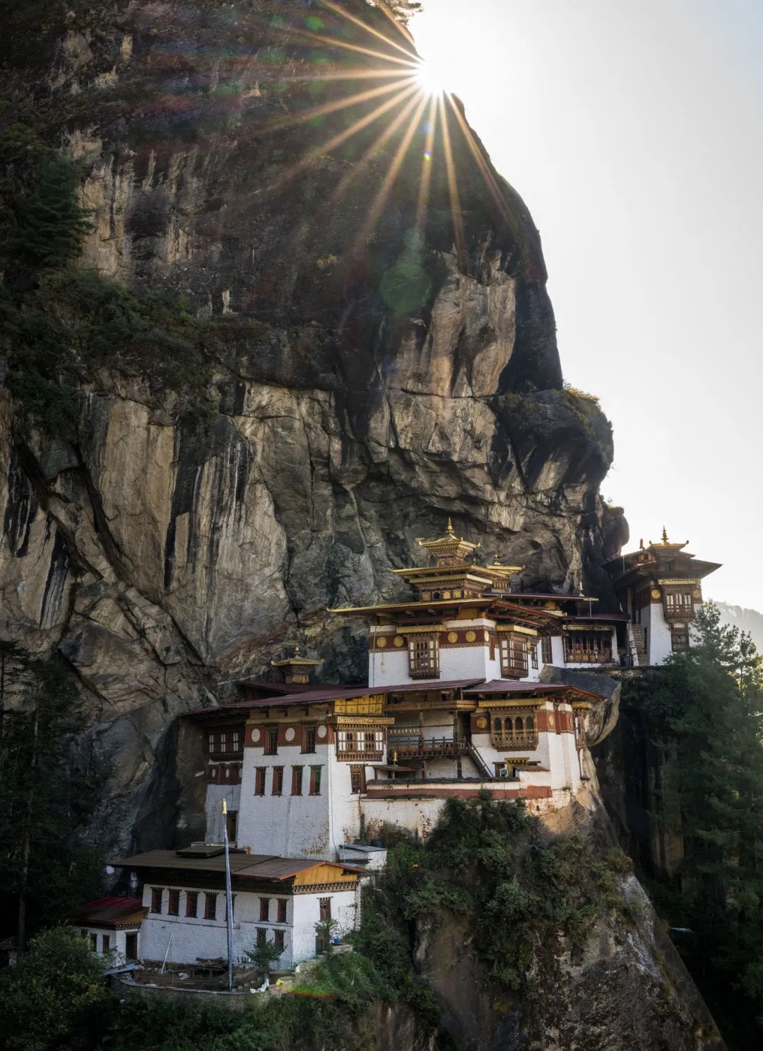 Jamyang Tenzin