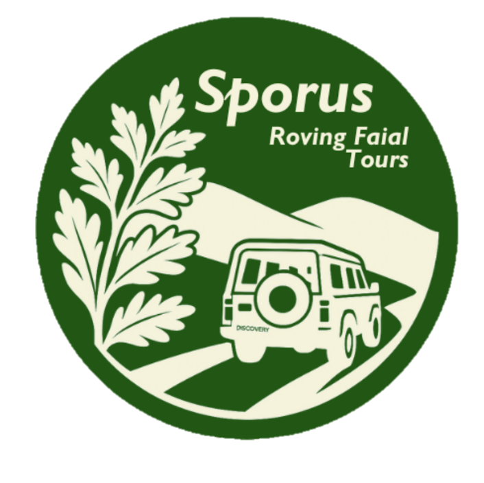 Sporus - Roving Faial Tours