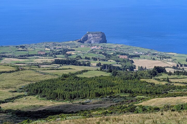 Sporus - Roving Faial Tours