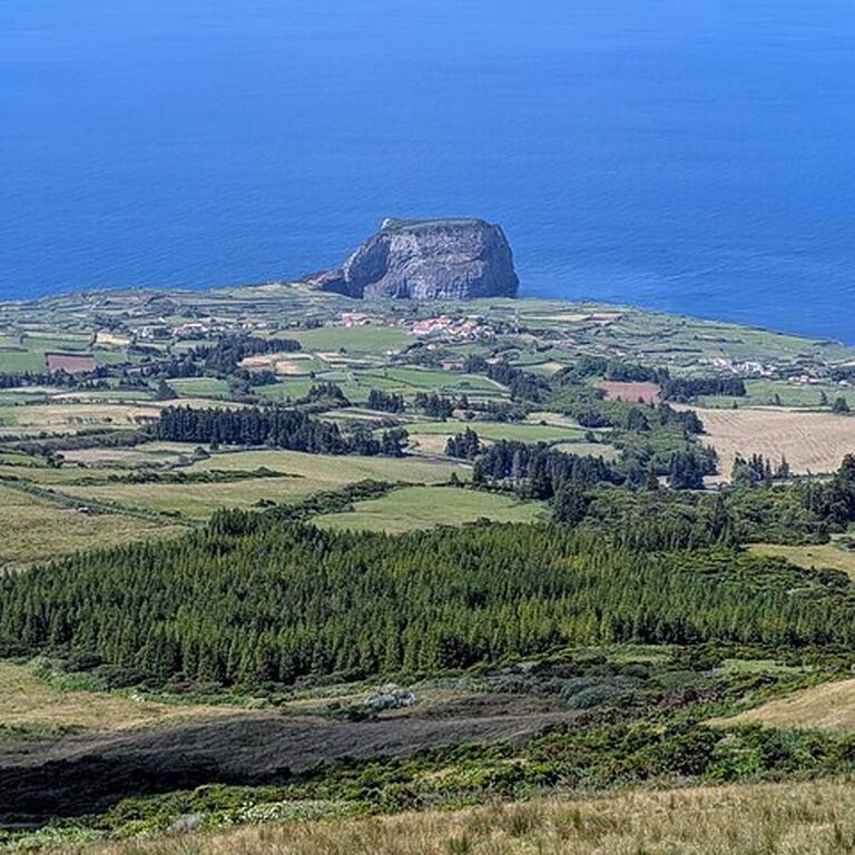 Sporus - Roving Faial Tours