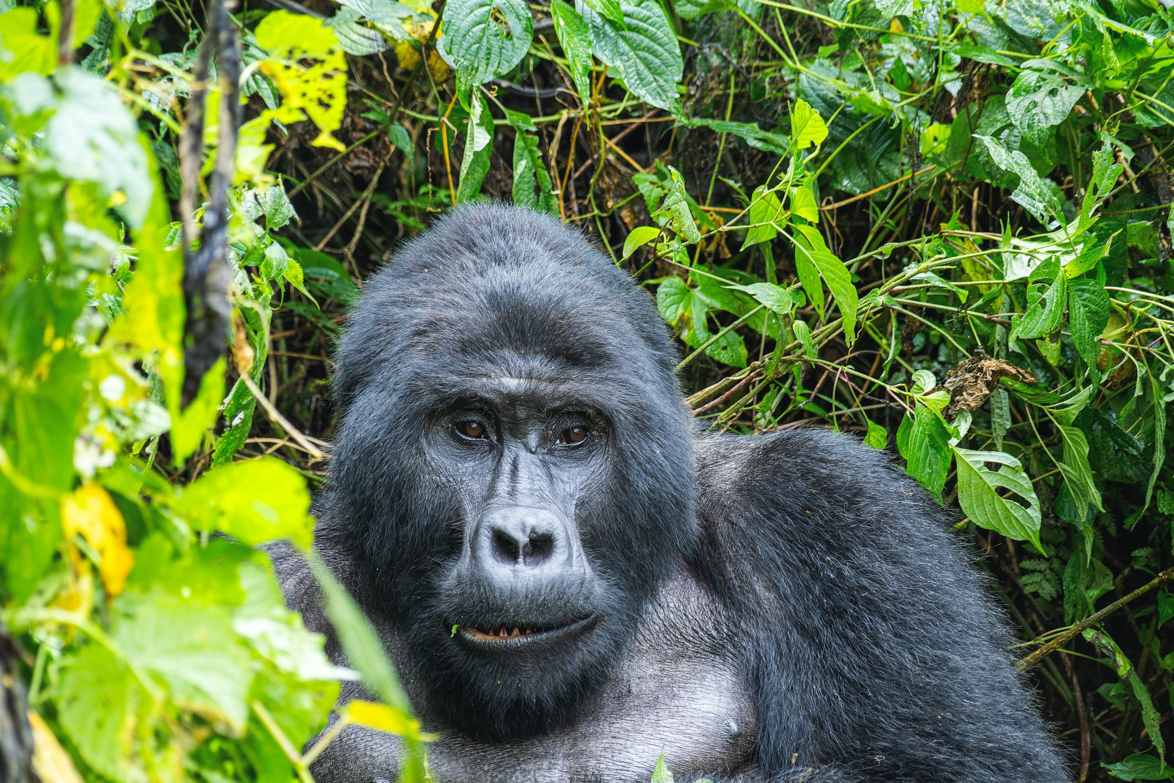 Explore Africa Adventures