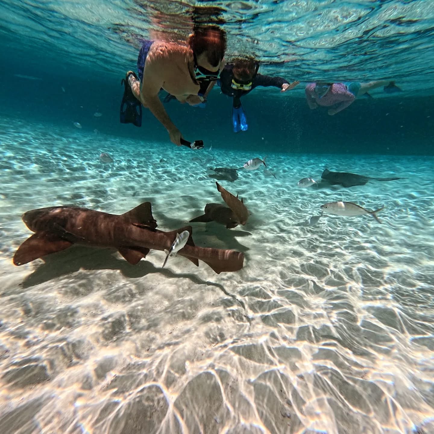 Wicked Adventures Roatan