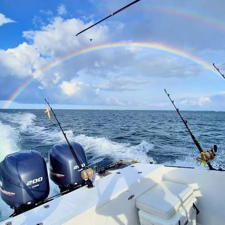 Wicked Adventures Roatan