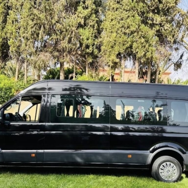 Hamza tours