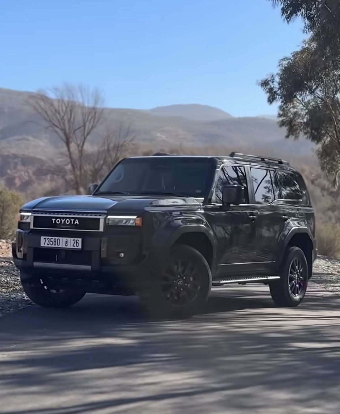 Hamza tours