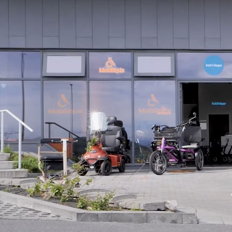 Mobility ehf