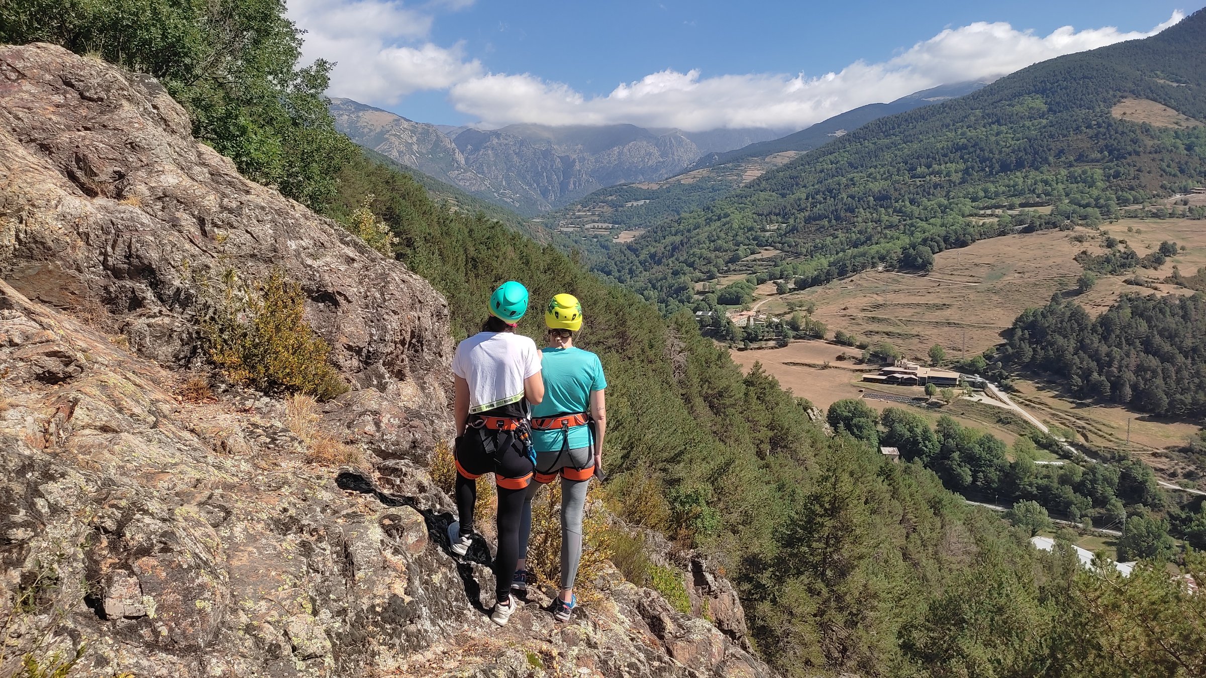 Guies Natura Viva