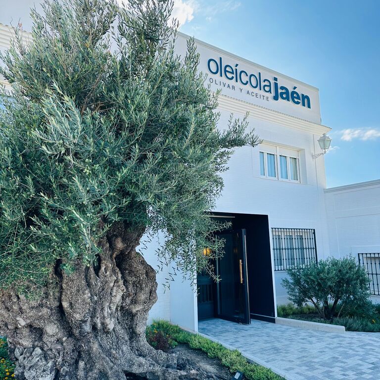 AOVEland by Oleícola Jaén