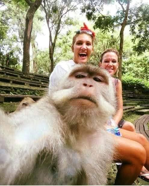 bali private driver