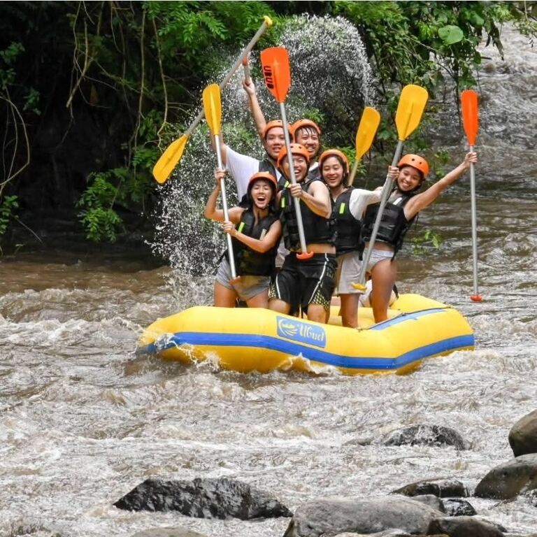 bali private driver