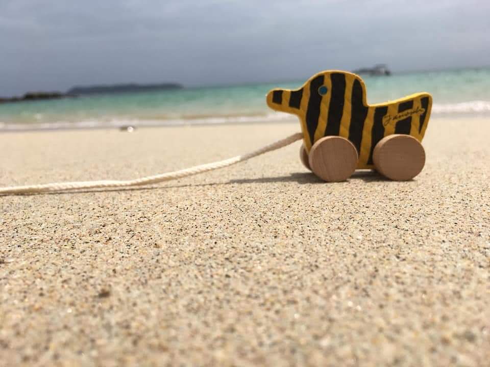 Panama Tours and Scuba SA