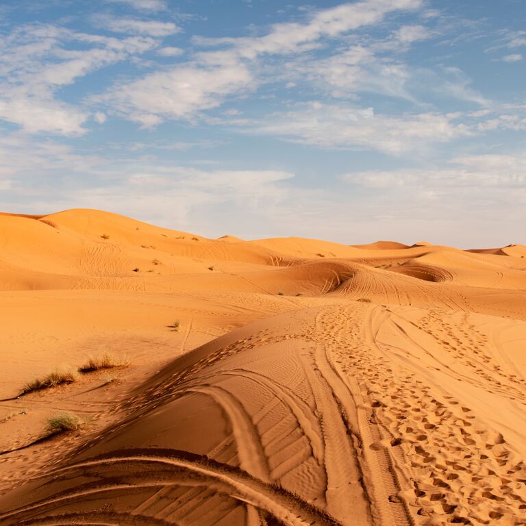 Happy Moroccan Tours