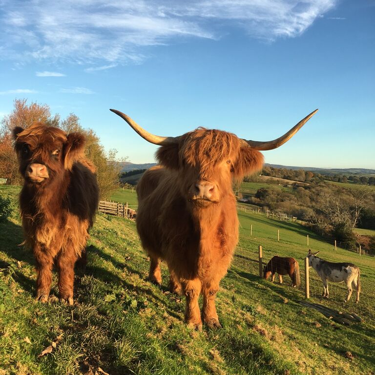 Pennywell Farm