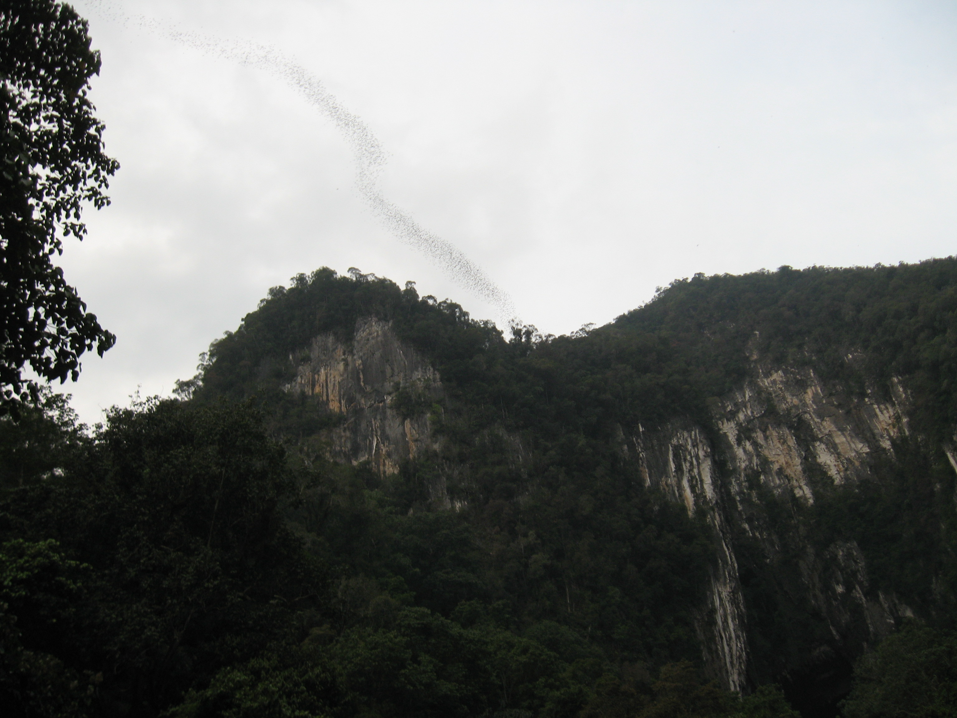 INTER-BORNEO TOURS SDN BHD