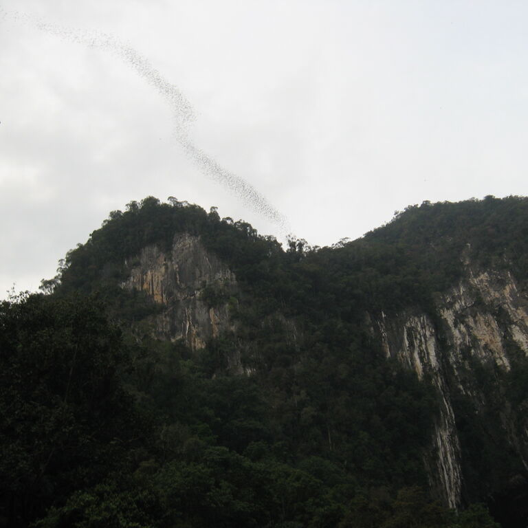 INTER-BORNEO TOURS SDN BHD