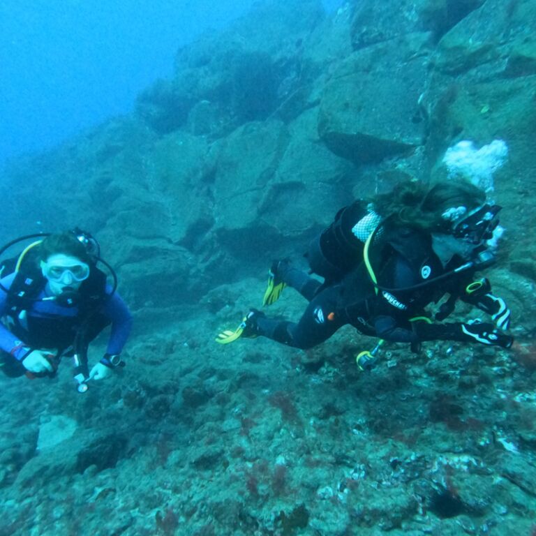 Ocean Dreams Tenerife - dive center