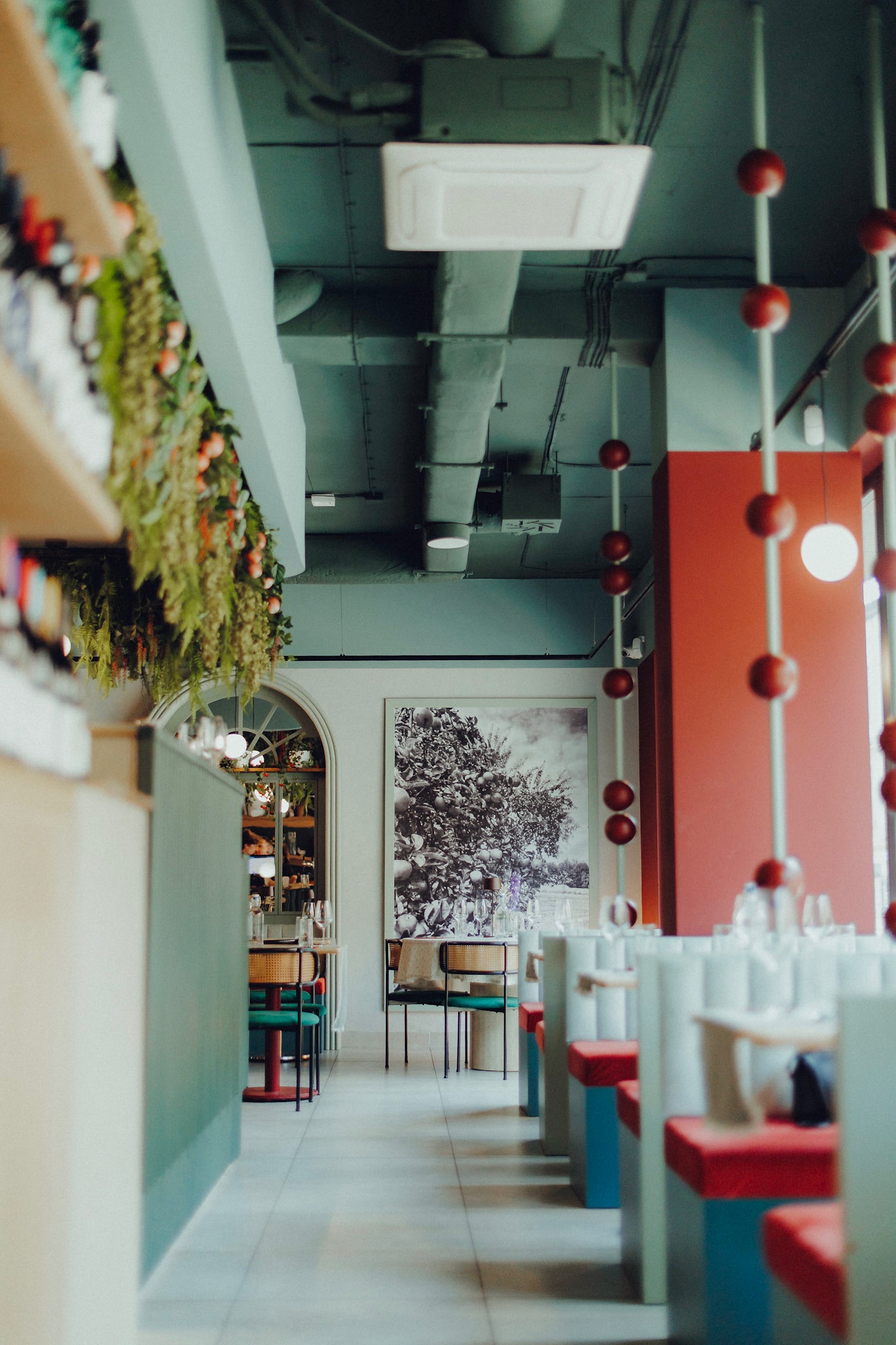 Sady Bistro | Polish Cuisine