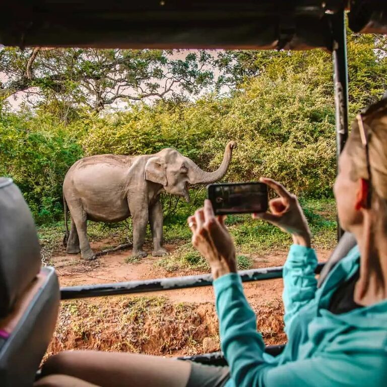 Ajith Safari Jeep Tours
