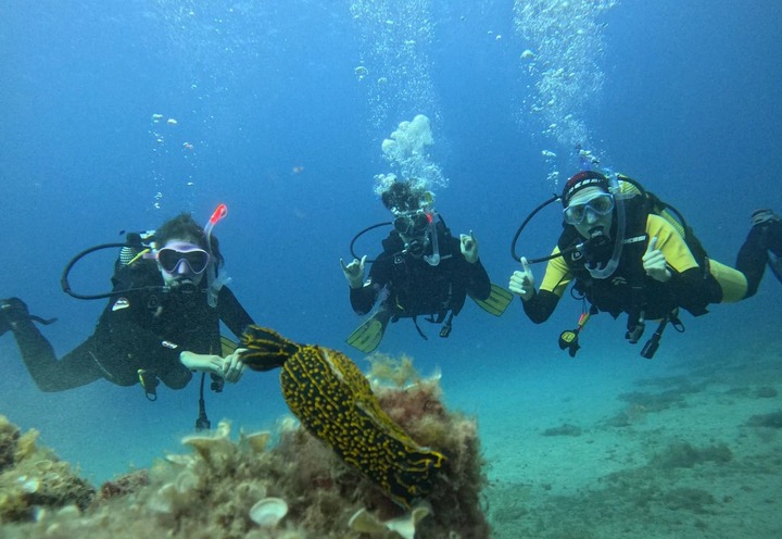 See You Diving Tenerife