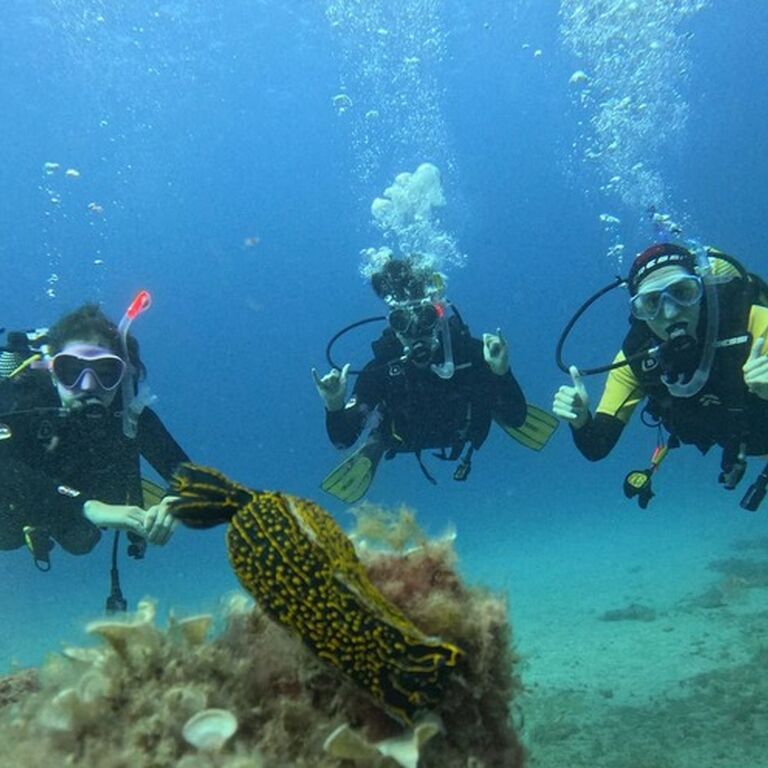See You Diving Tenerife