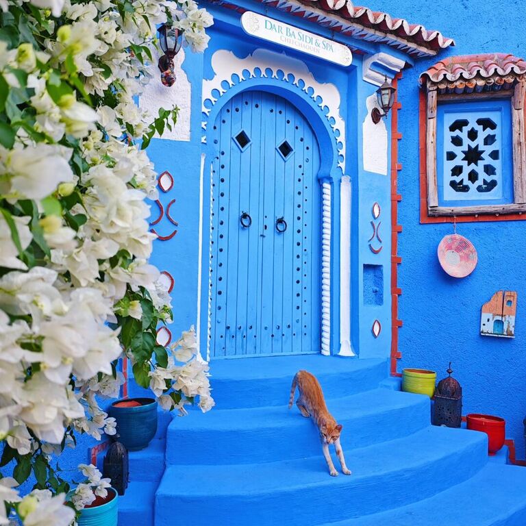 Morocco Tours Trips