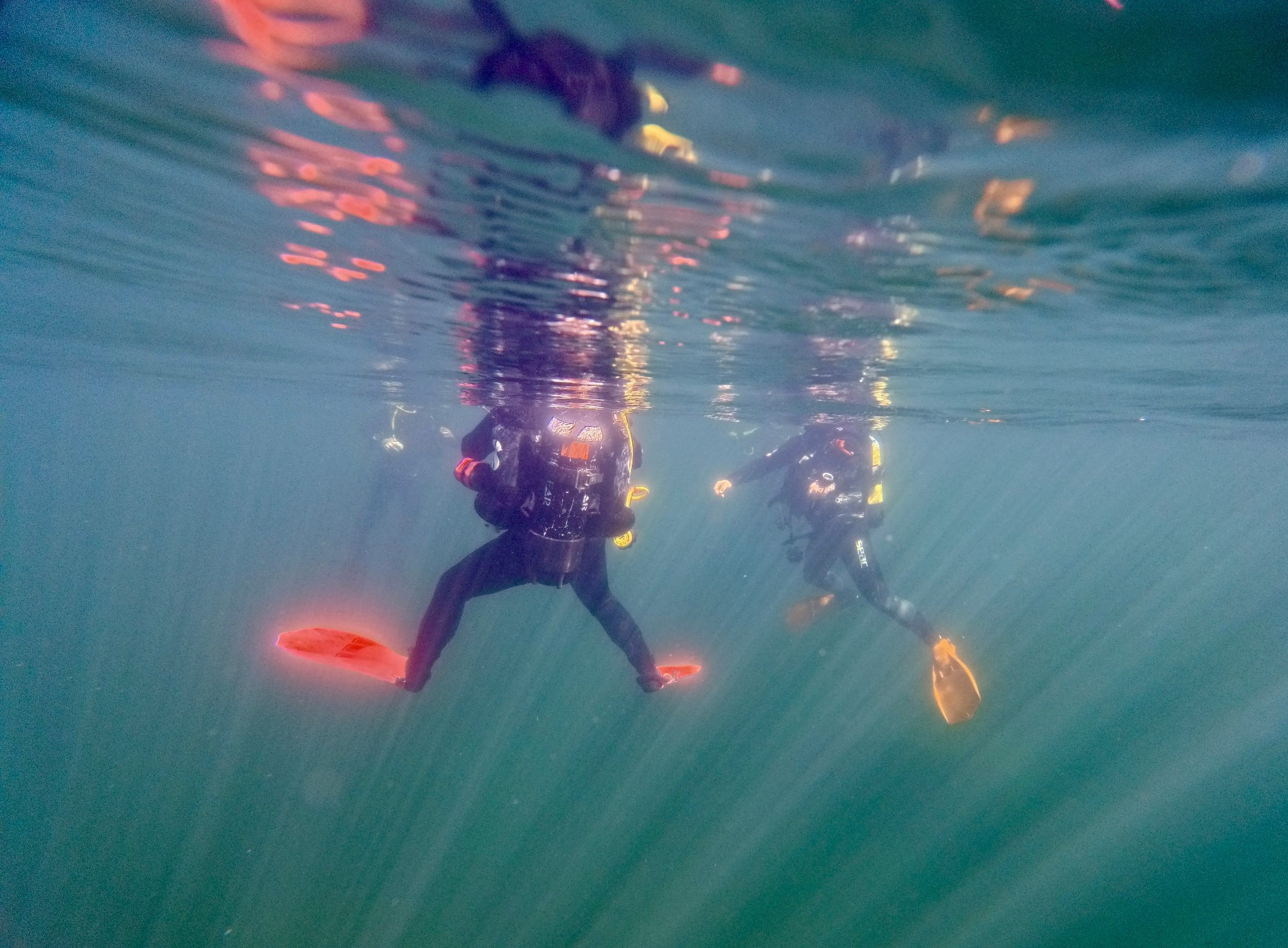 Arctic Divers Dive Center
