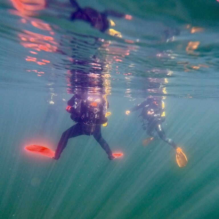 Arctic Divers Dive Center