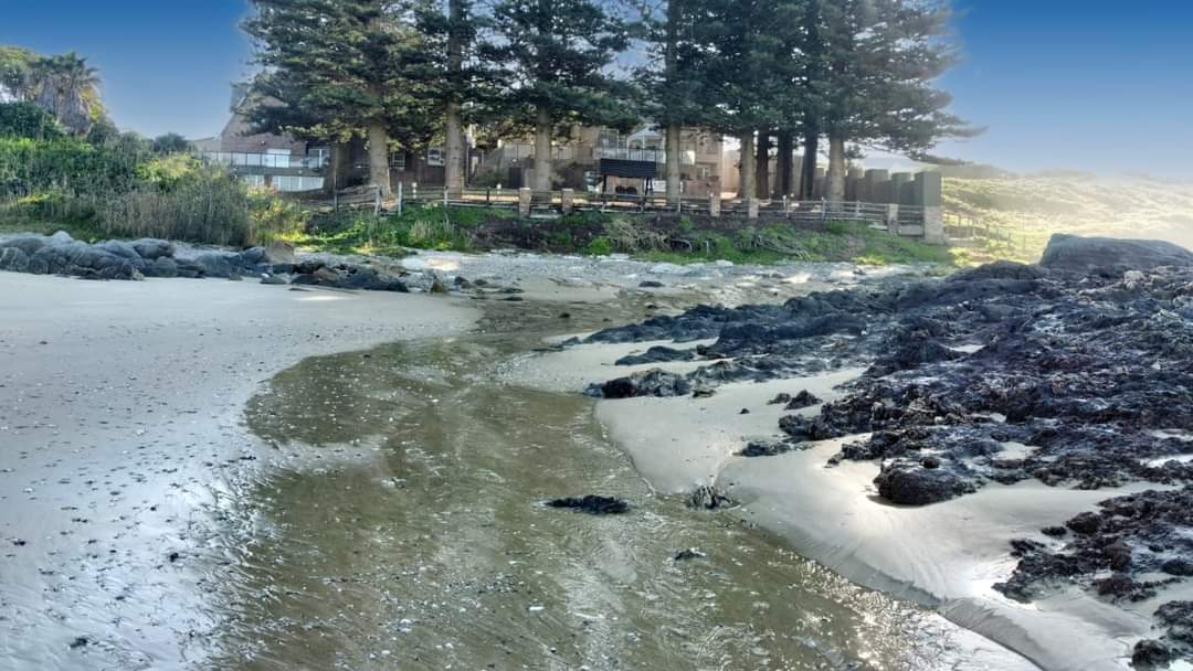 SEA OTTERS LODGE