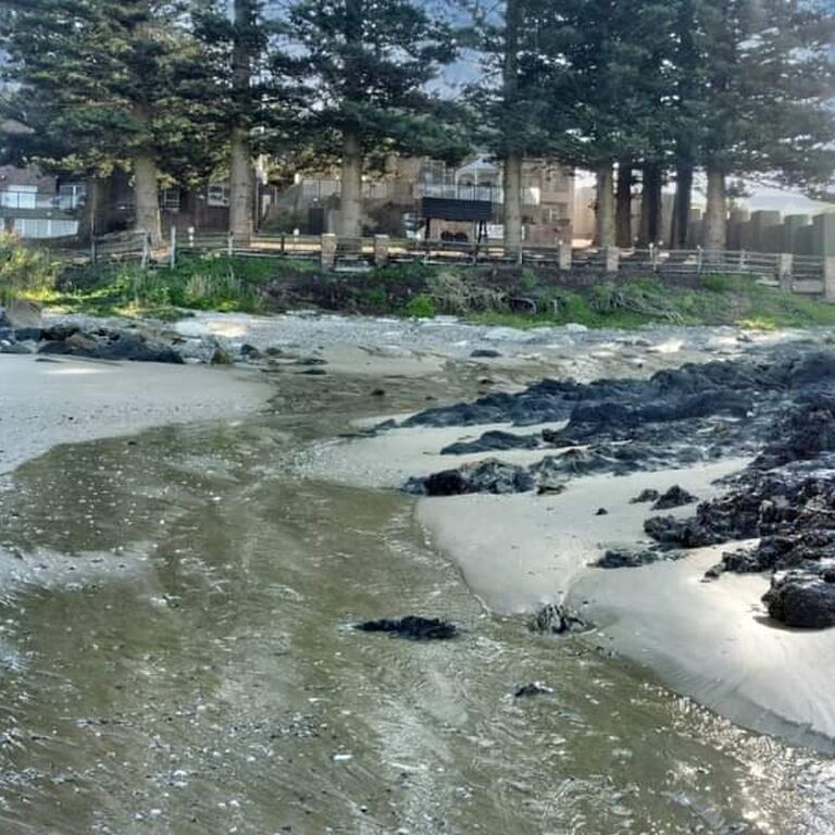 SEA OTTERS LODGE