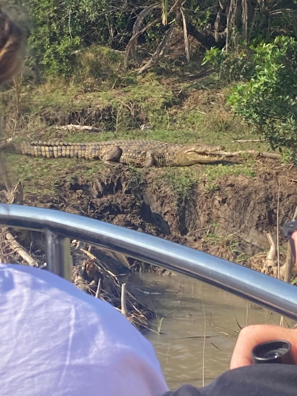 St Lucia Safaris / Fannas