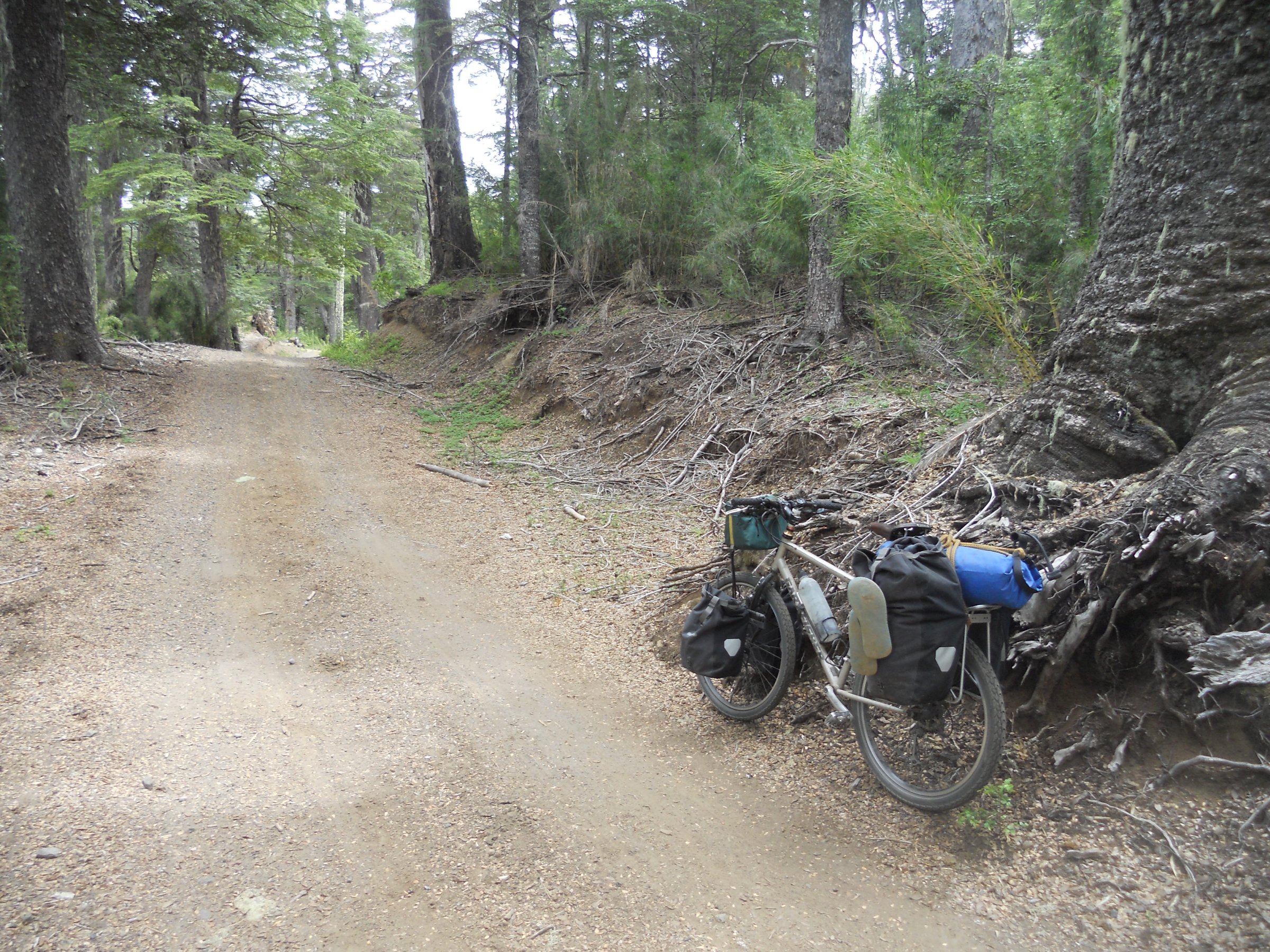 Touring Bike Rental