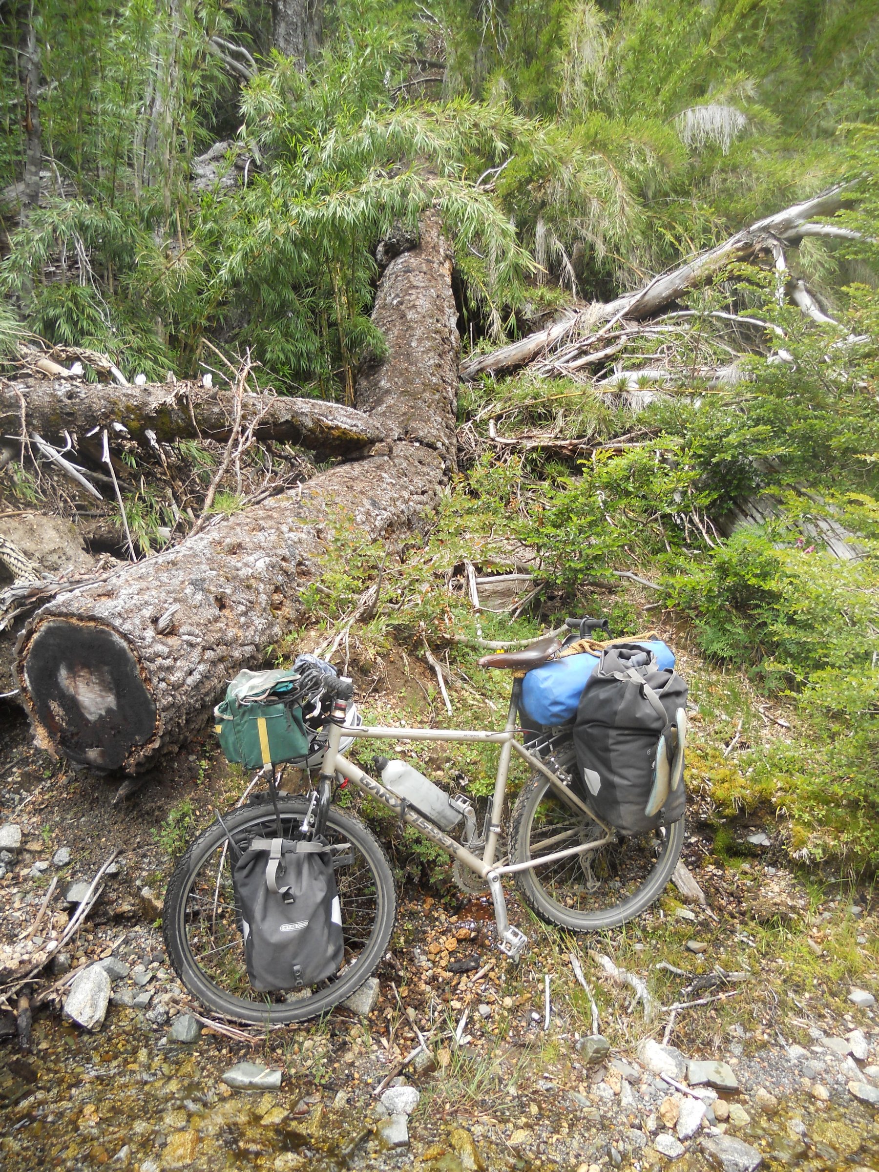 Touring Bike Rental